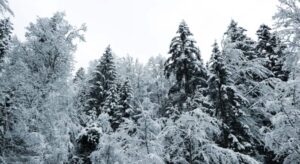 Staying sober over the holidays in Austin Texas