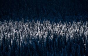 staying sober over the holidays in Austin Texas