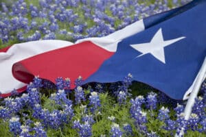 texas flag in field of bluebonnets 2026 01 07 05 54 59 utc